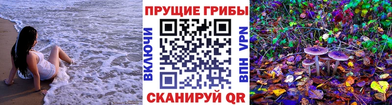 Галлюциногенные грибы Cubensis  Сосновка 